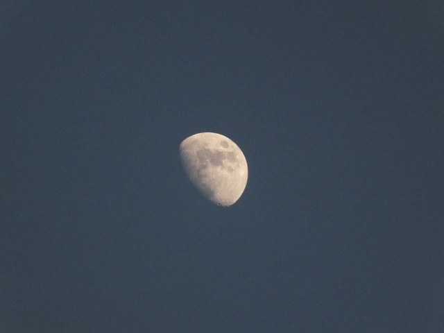 DSCF0996.JPG