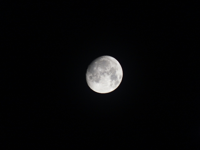 DSCF1003.JPG