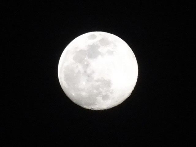 DSCF8003 (2).JPG
