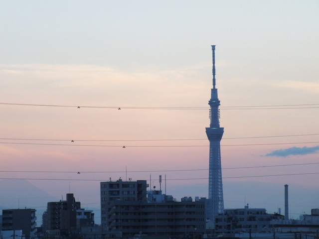 DSCF9619.JPG