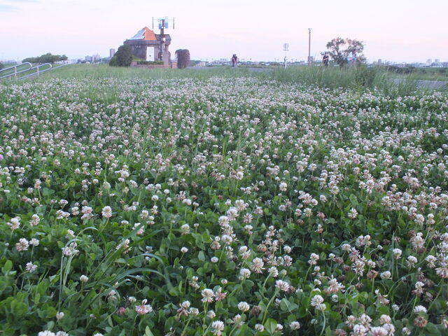 DSCF9632.JPG