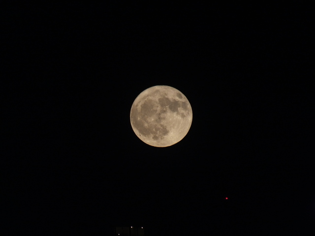 DSCF9708.JPG