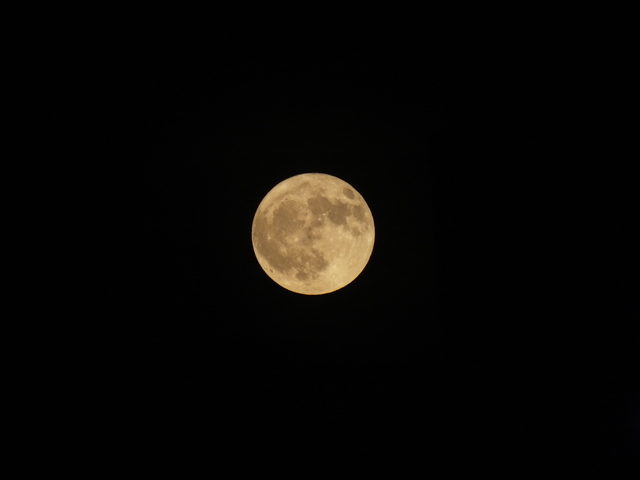 DSCF9711.JPG
